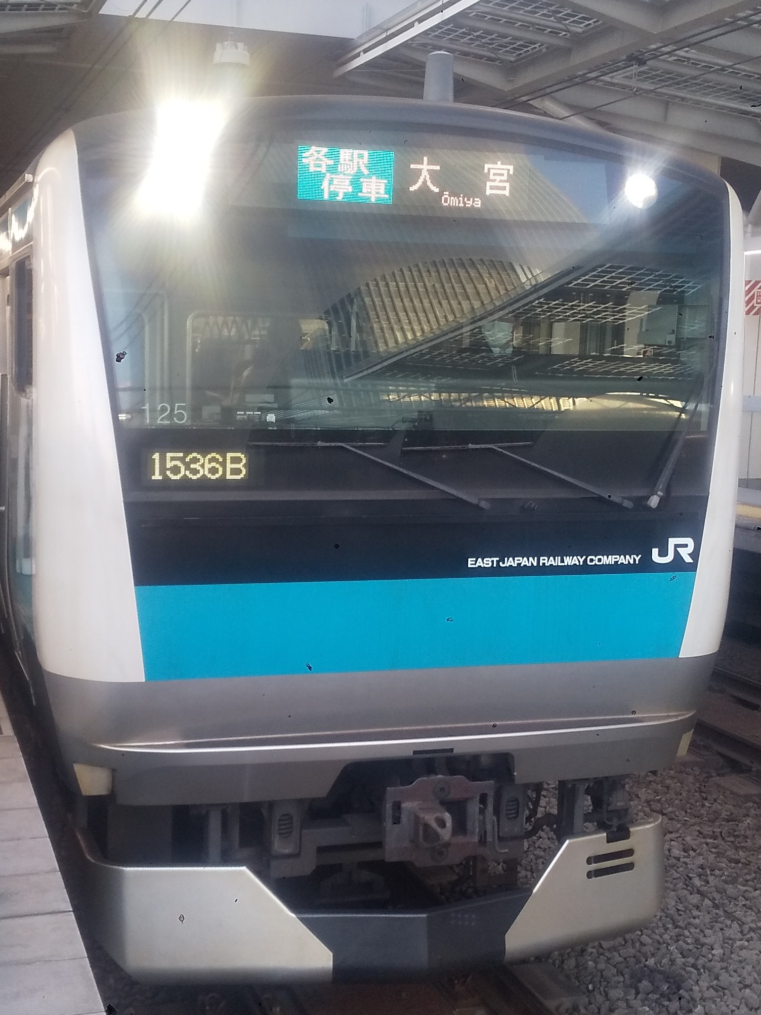 E233-SAI125.JPG
