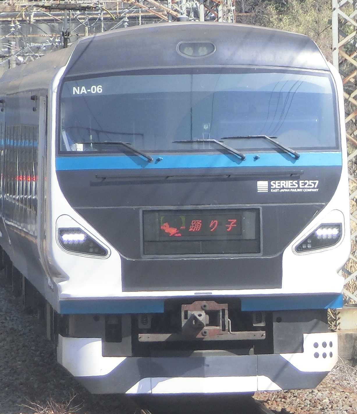 E257-NA06.jpg
