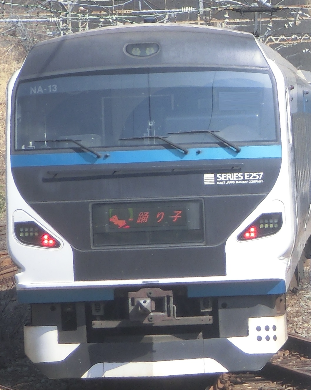 E257-NA13.jpg