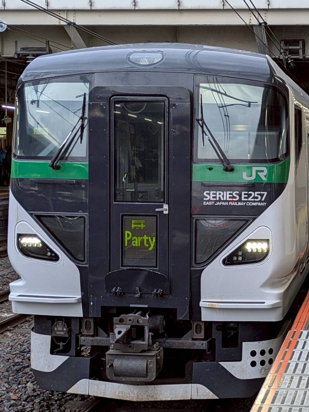 E257-OM93.jpg