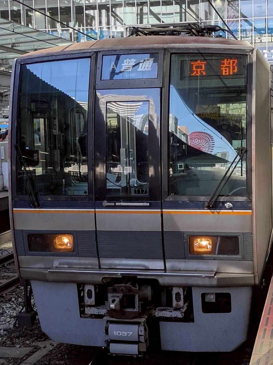 207-T17.jpg