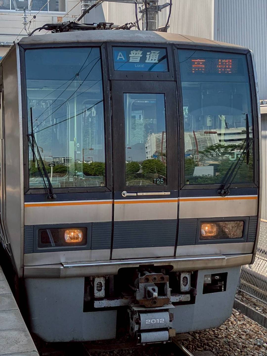 207-T25.jpg