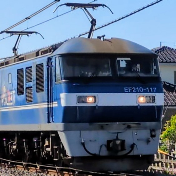 EF210-117.jpg