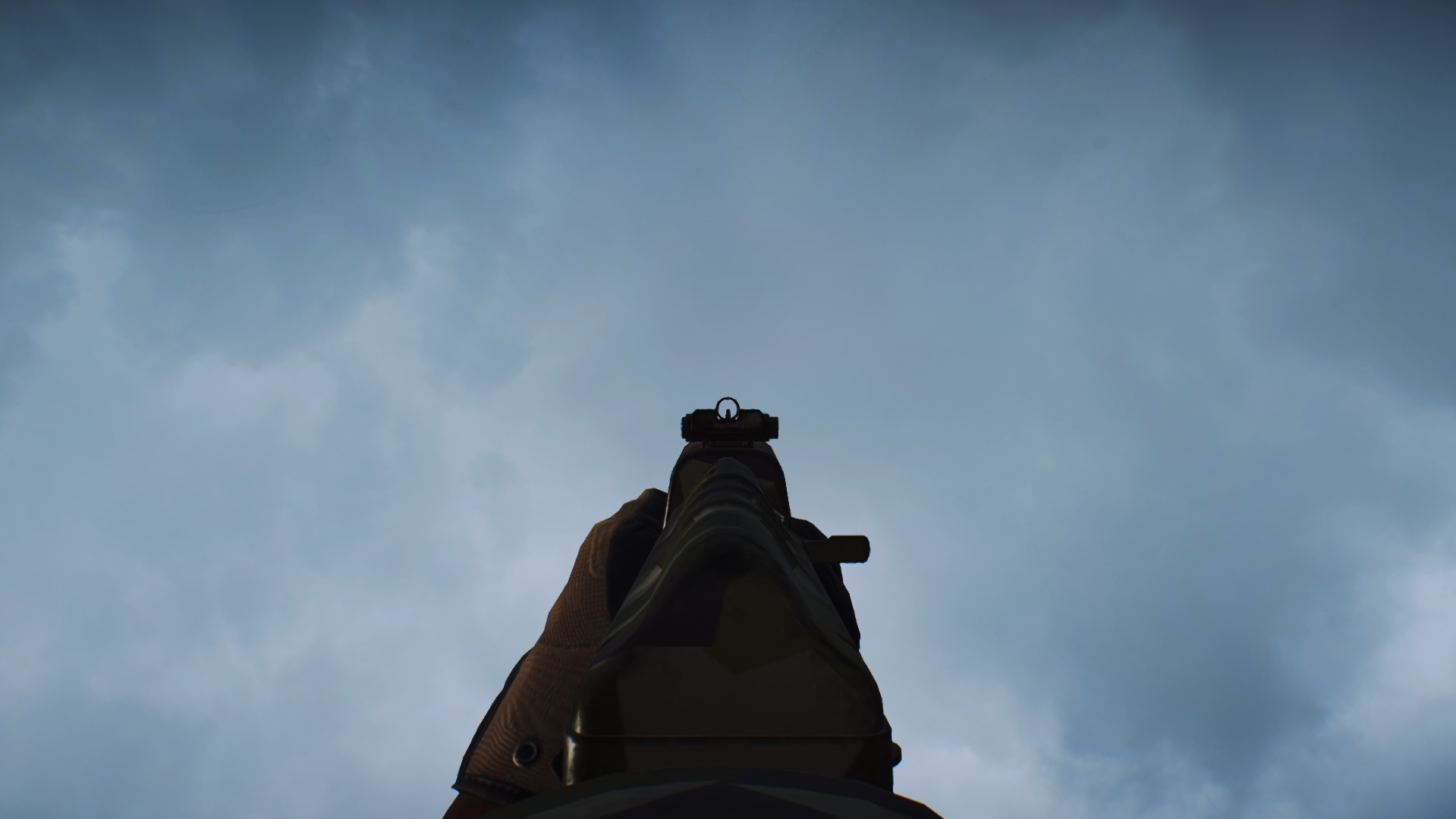 Ironsights.jpg