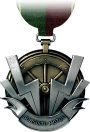 battlefield-3-medal-10.jpg