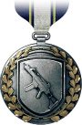 battlefield-3-medal-2.jpg
