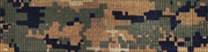 MARPAT