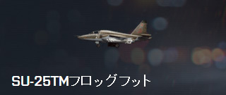 SU-25TMフロッグフット.jpg