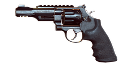 .357 RS.png