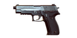 P226.png