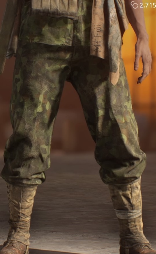 Battlefield™ V_20200109232241.jpg