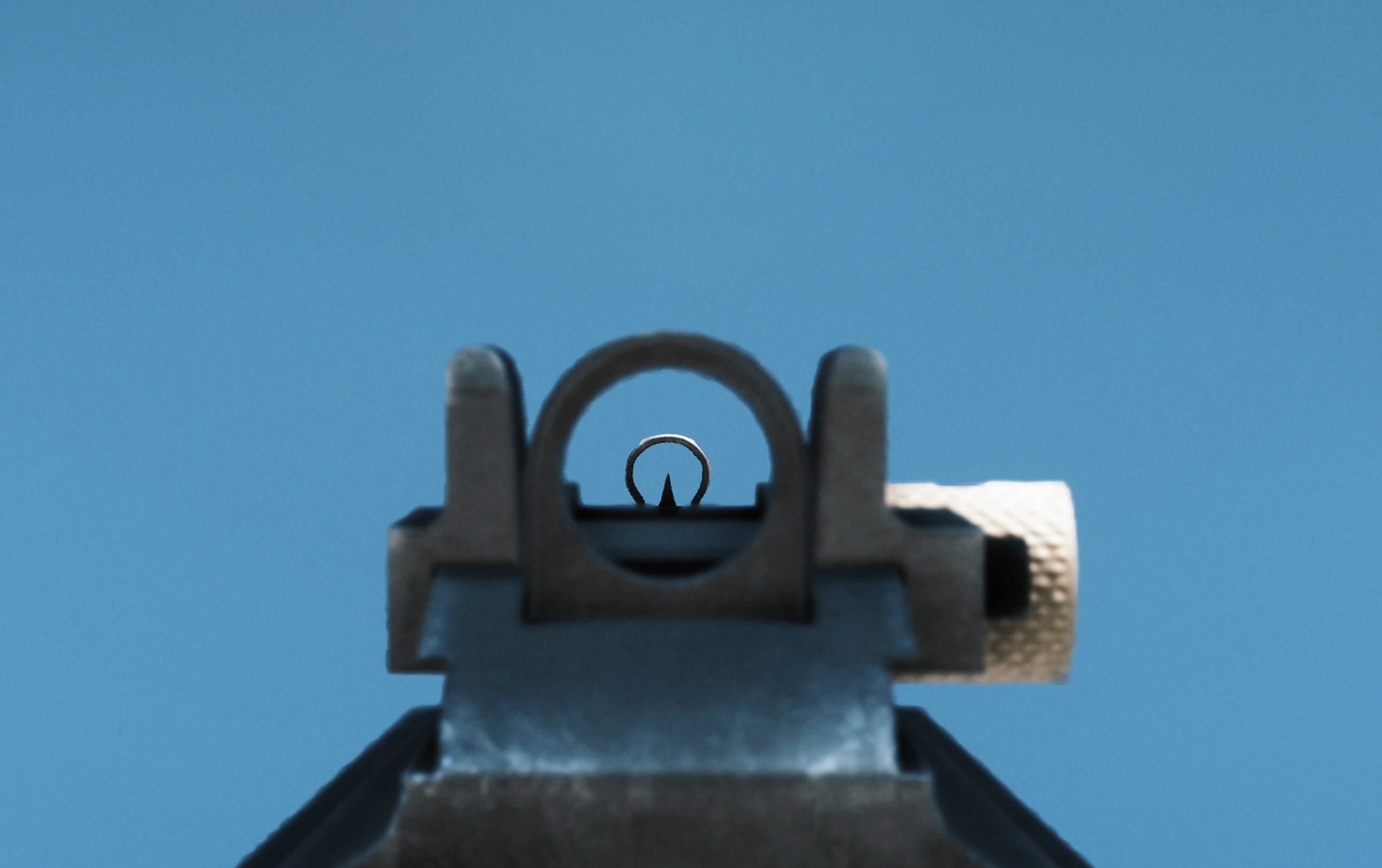 MAS-44 ironsight.jpg