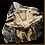 2023-08-07_古代生物の化石.JPG