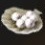 2018-03-19_新鮮なフォガンの卵.JPG