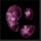 2023-11-09_クロブドウタケ菌糸.JPG
