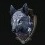 2021-02-10_漆黒オオカミの頭部剥製.JPG