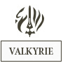 Valkyrie.png
