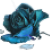 乾燥した青いバラ.png