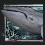 2020-10-24_オオクジラの壁装飾.JPG