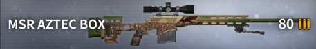 MSR AZTEC BOX.png