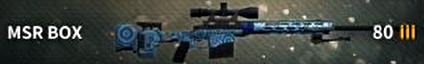 MSR BOX.png
