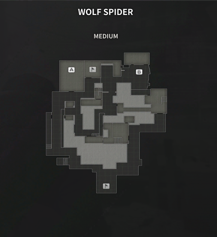 WOLF SPIDER.png