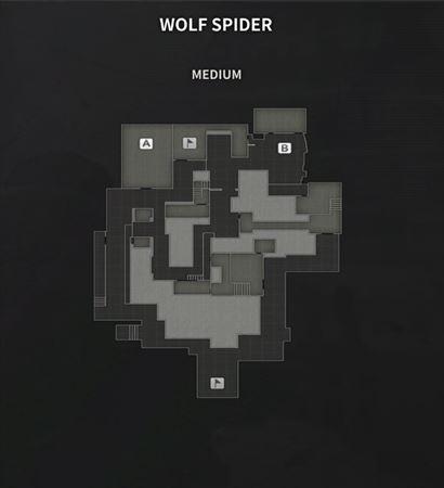 WOLF SPIDER_R.jpg