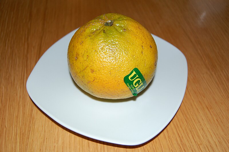 Ugli_Fruit.jpg