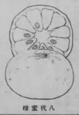 digidepo_2387662_0266.jpg