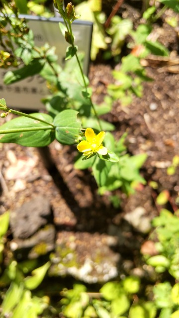 DSC_5321_0.JPG