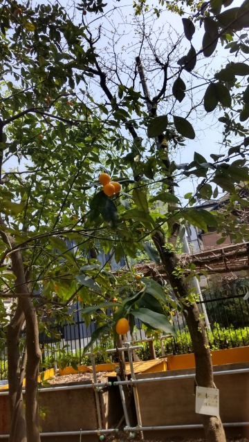 DSC_3819.JPG