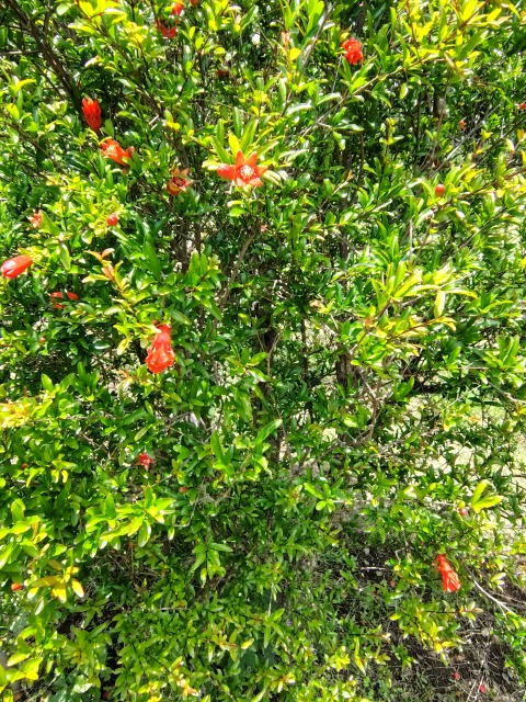 250601112227137.JPG