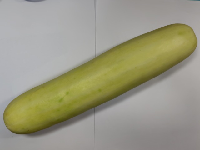 250714155113232.JPG