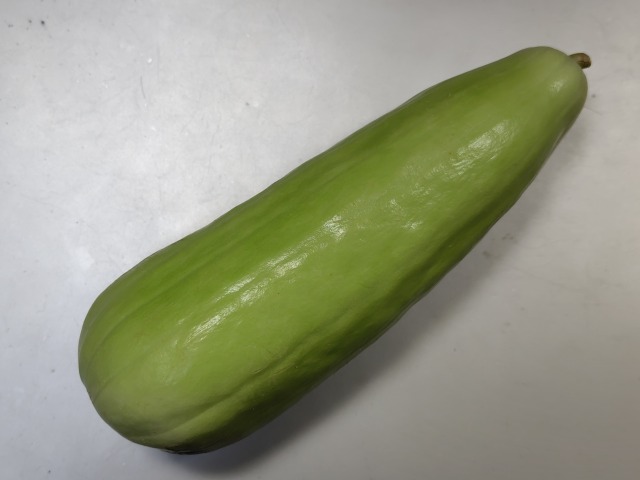 250730191030422.JPG