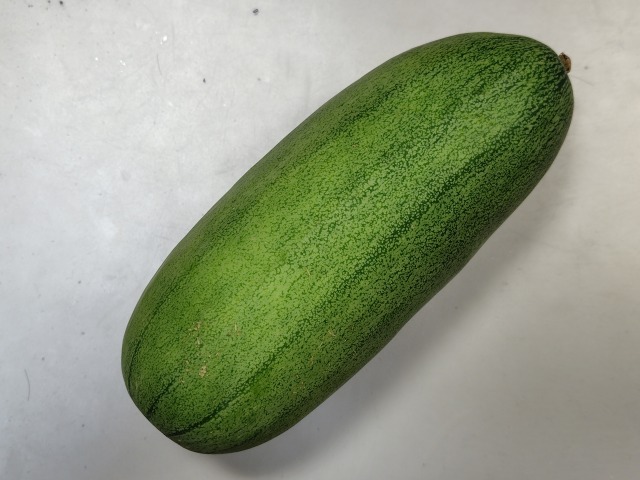 250801155545521.JPG