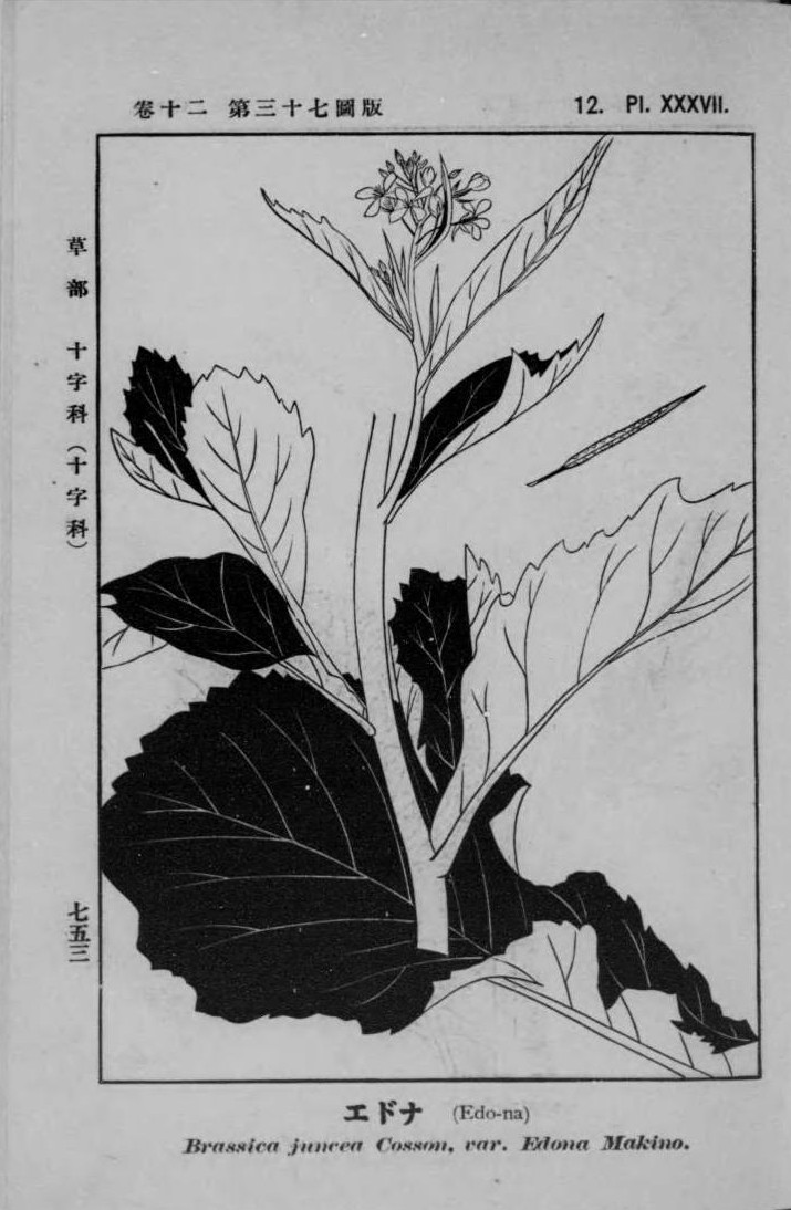 digidepo_980994_0195.jpg