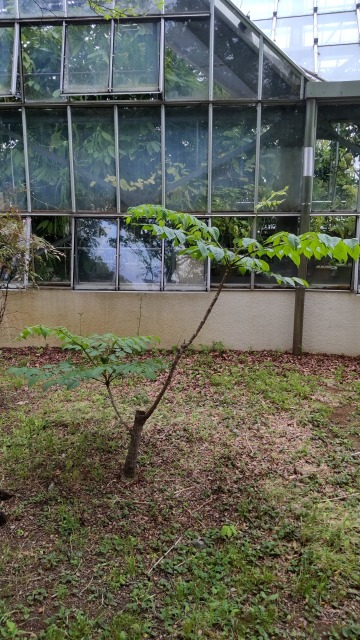 DSC_4024.JPG