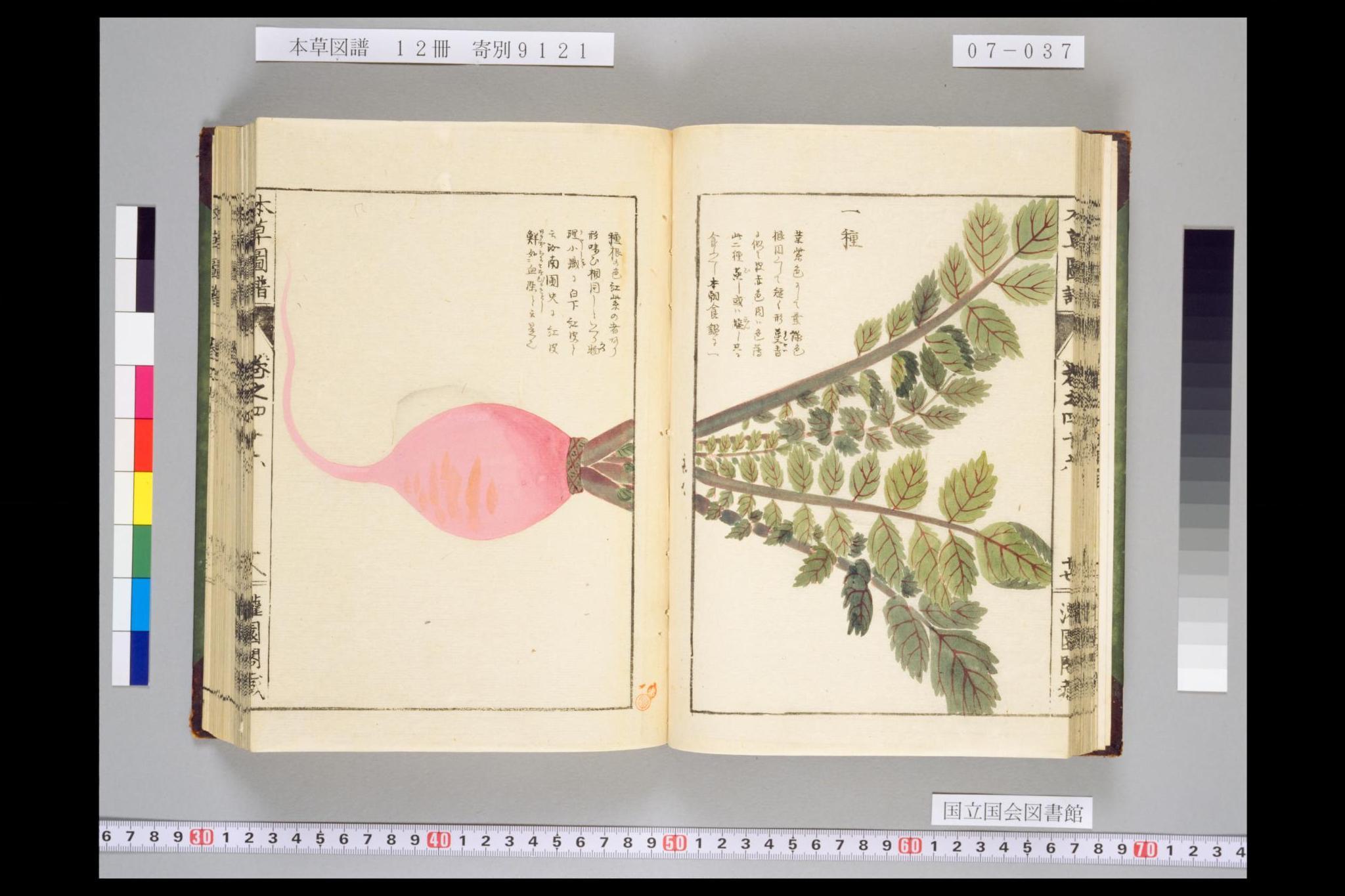 digidepo_1287157_noBundleName_91e1bfc5-5908-4049-b0b8-3a13dab53d88.jpg