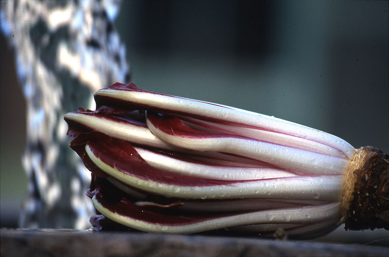 800px-Radicchio_Rosso_di_Treviso_tardivo.jpg