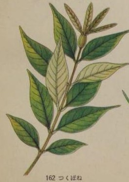 digidepo_1226431_0044.jpg
