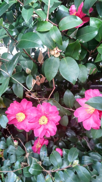 DSC_2863_0.JPG