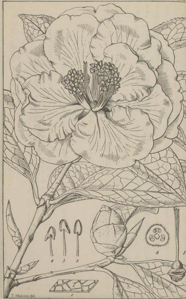 digidepo_1236273_0210.jpg
