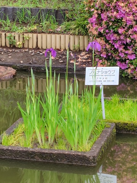 250615103204696.JPG