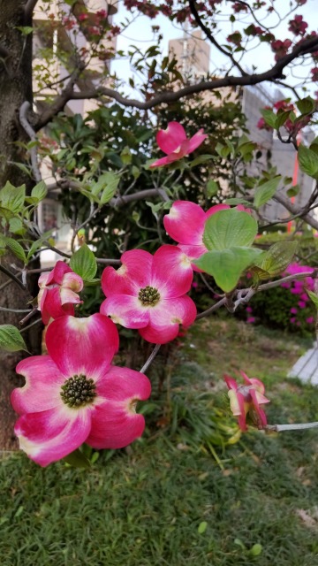 DSC_3875.JPG