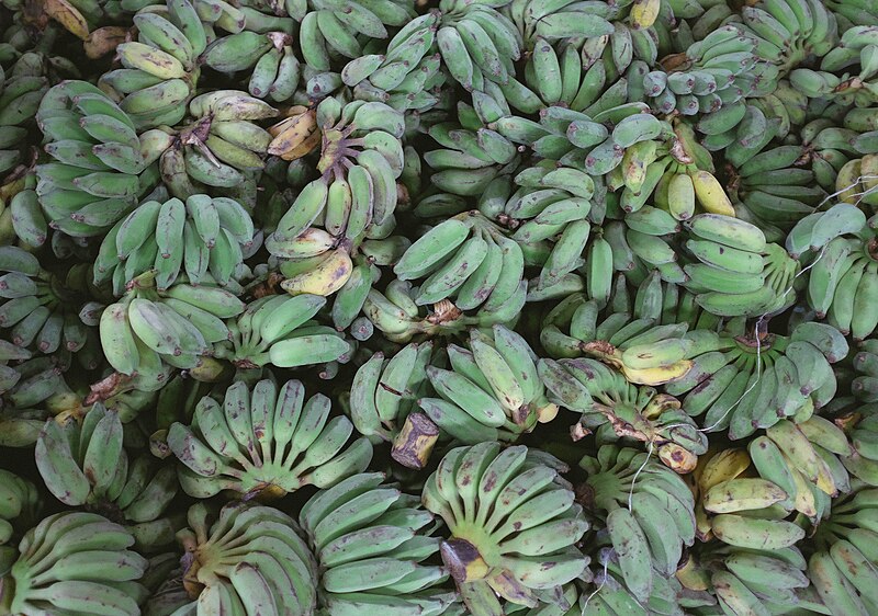 Green_Plantains_(Unsplash).jpg