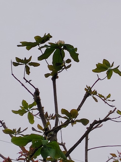 250420145031959.JPG