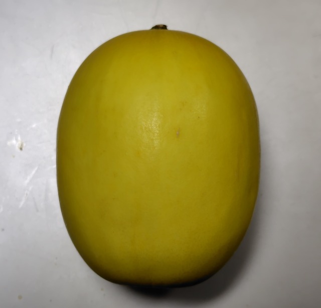 250609165115074.JPG