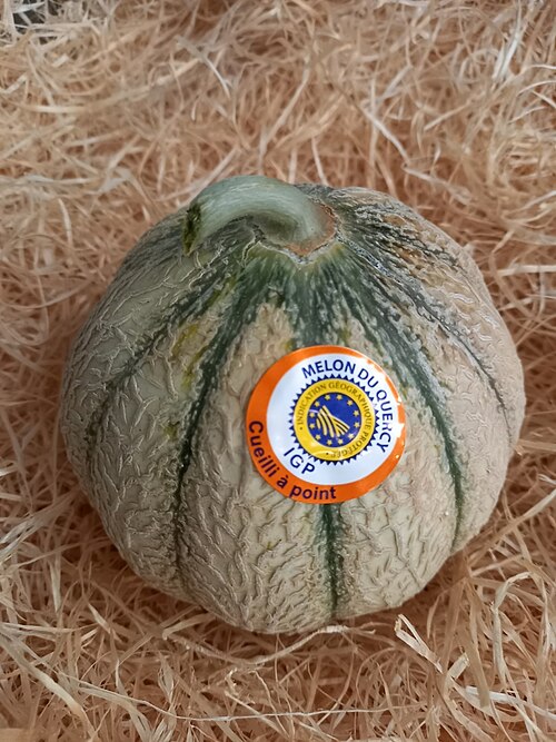 Melon_du_Quercy_IGP.jpg