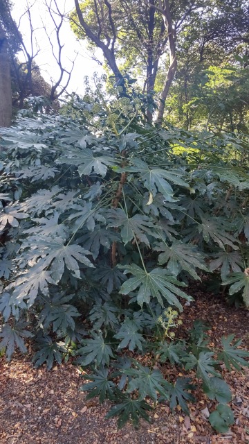 DSC_3082.JPG