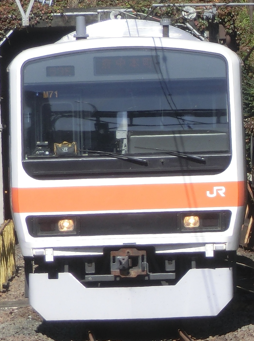 209-M71-3.jpg
